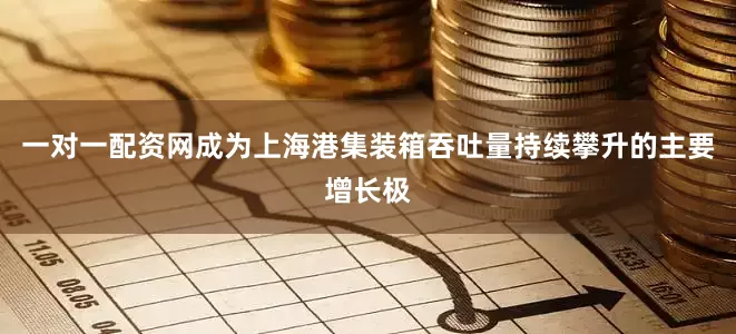 一对一配资网成为上海港集装箱吞吐量持续攀升的主要增长极
