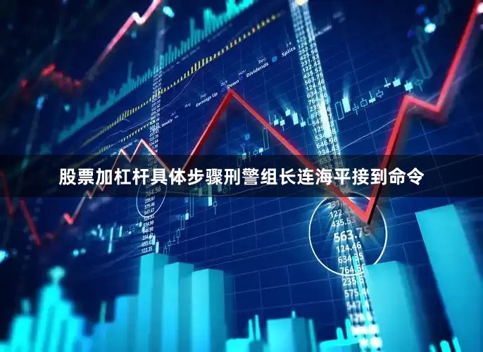 股票加杠杆具体步骤刑警组长连海平接到命令