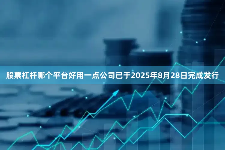 股票杠杆哪个平台好用一点公司已于2025年8月28日完成发行